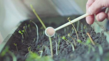 Bilimadamı laboratuvarda tesisi test ediyor - biyoteknoloji ve GDO kavramı