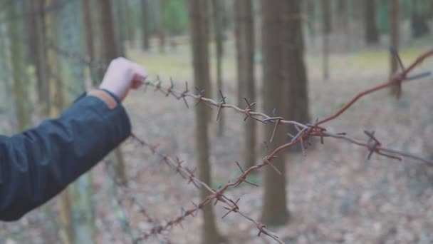 Bir adamın eli dikenli tellere dokunur. Kavram yasadışı göç. Avrupa'ya göç etmek isteyen bir Arap. Gurbetçiler için Kamp. — Stok video