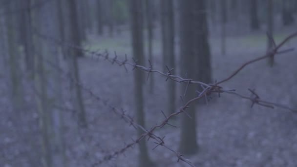 Bir adamın eli dikenli tellere dokunur. Kavram yasadışı göç. Avrupa'ya göç etmek isteyen bir Arap. Gurbetçiler için Kamp. — Stok video