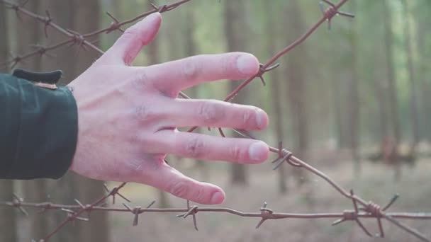 Een Mans hand raakt een prikkeldraad hek. Concept illegale migratie. Een Arabisch die naar Europa wil emigren. Kamperen voor expats. — Stockvideo