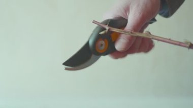 el tutarak izole hd ağacın kesme pliers