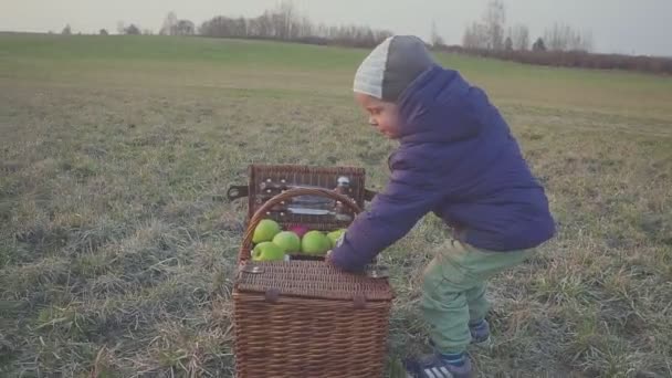 Chico emocionalmente alegre comiendo una manzana en un picnic cerca de la canasta. Camping y estilo de vida saludable . — Vídeos de Stock