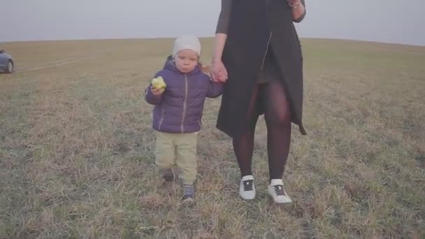 Madre e hijo comiendo una manzana en el paisaje exterior. Caminando por el campo y comiendo manzanas. Deja de viajar — Vídeo de stock