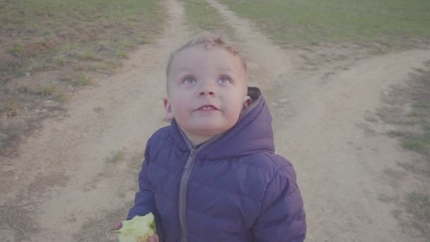 Portré gyönyörű fiú eszik almát a l — Stock videók