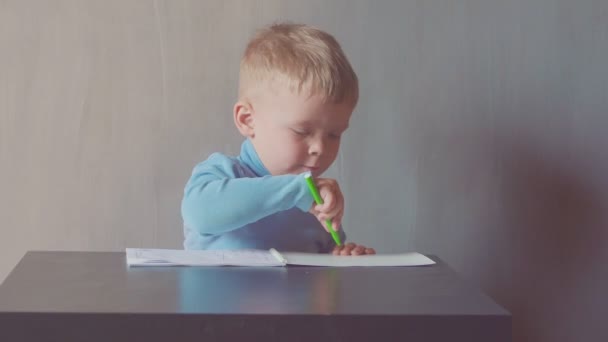 Menino de dois anos está desenhando com marcador no álbum e comer maçãs — Vídeo de Stock