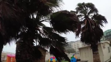 Tropik adada palmiye ağaçları esen fırtına rüzgarları. Sahile yakın oyun alanında yağmur yağıyor. İtalya. Rimini. Mayıs 2019.