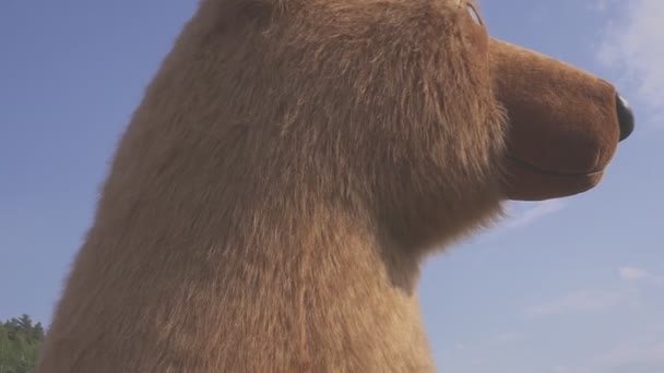 Actor vestido de oso aeróbico durante el festival de verano callejero — Vídeos de Stock