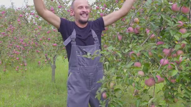 Lassú mozgás, lövés, egy vicces tánc, és ugrás a mezőgazdasági termelő a gyümölcsösben alma. boldog sikeres gazda közelében a gyümölcsös egy kiváló termés az alma — Stock videók