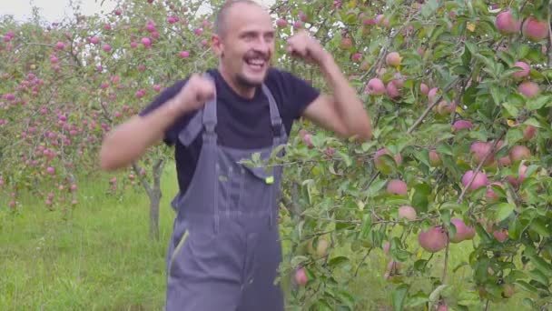 Filmagem em câmera lenta de um fazendeiro engraçado dançando e pulando no pomar de maçã. agricultor bem sucedido feliz perto do pomar com uma excelente colheita de maçãs — Vídeo de Stock