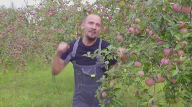 Yavaş çekim bir komik dans etmekten ve elma bahçesi çiftçi atlama. mutlu başarılı çiftçi elma mükemmel bir hasat ile orchard yakınındaki
