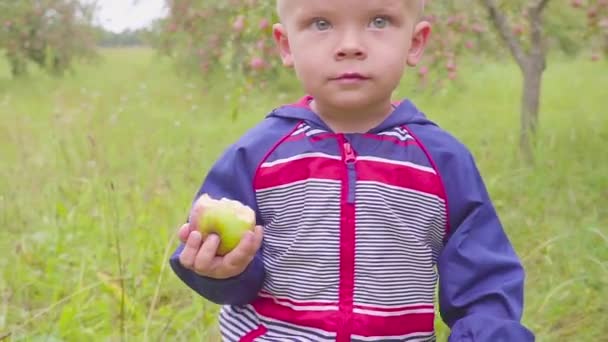 Menino pré-escolar adorável comendo maçã vermelha na fazenda orgânica. Comida saudável. Colheita — Vídeo de Stock