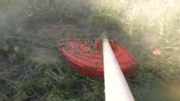 Siega hierba con cortadora de gas cortacésped . — Vídeos de Stock
