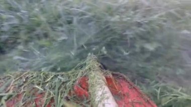 gaz kesicisi çim biçme makinesi ile çim biçme.
