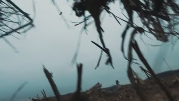 Silhouette einer Herde Wildgänse. ein Vogelschwarm, der bei schönem Sonnenuntergang davonfliegt. Schießen aus der Deckung — Stockvideo