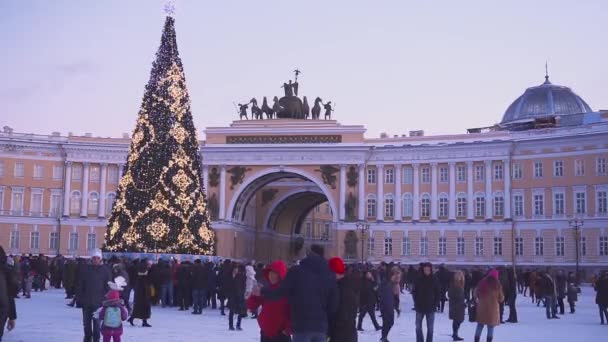 Αγία Πετρούπολη. 01.01.3019 πλατεία παλατιού. Χριστουγεννιάτικο δέντρο. Πρωτοχρονιά — Αρχείο Βίντεο