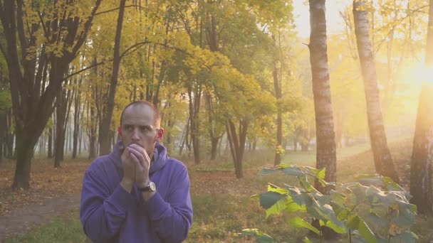 Pohledný muž pocit chladné a oteplování rukou, muž zamrzne v podzimním parku. chladně. — Stock video
