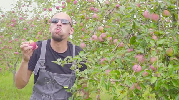 Funny dancing and jumping farmer in the apple orchard. happy successful farmer near the orchard harvest of apples — Stock Video