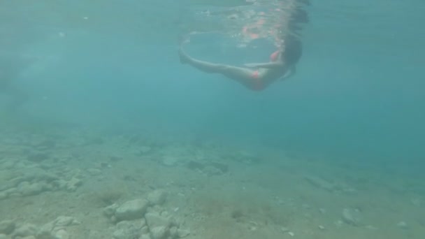 Woman with beautiful figure is swimming on the beach. Underwater shooting. — Stock Video