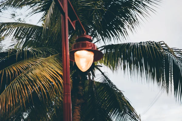 Beautiful Red Street Light Pole Palm Pillar Working Lantern Outdoors — Stock Photo, Image