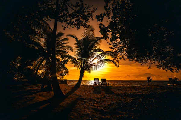 在热带度假胜地 阳光下 Backlighted 的橙色日落 棕榈树和其他不同的植物和树木 海滩上有两张空甲板椅子 长阴影 广角视图 — 图库照片