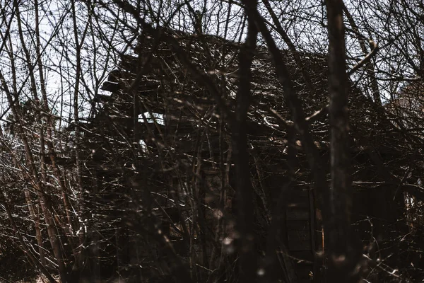 たっぷり春 に枝の放棄された古い老朽化した木造国家見捨てられたタンブル ダウン古代コテージや小屋に囲まれて裸の秋木 荒廃の感じ — ストック写真