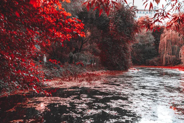 Lagoa Muskeg Colorido Parque Cidade Cores Vermelhas Vivas Com Vários — Fotografia de Stock