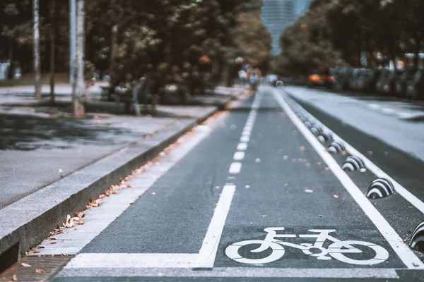 Ein Weißes Radfahrstreifen Schild Auf Asphaltbelag Der Stadtstraße Vordergrund Sicherheitszone — Stockfoto