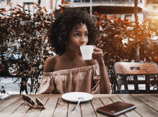 Pięknych Afro Amerykańskich Kobiet Jest Picie Herbaty Pyszne Patrząc Bok — Zdjęcie stockowe