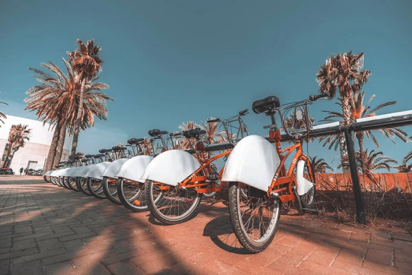 Een Lange Rij Van Verhuur Rood Geparkeerde Fietsen Straat Van — Stockfoto