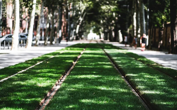 Tramvajových tratí s zelený trávník — Stock fotografie