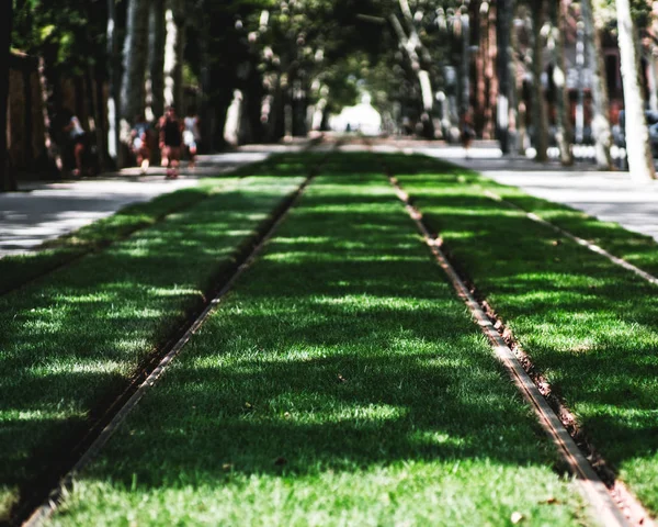 Deux voies de tramway envahies — Photo