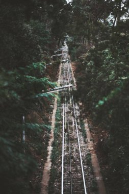 Ormandaki füniküler demiryolu parça