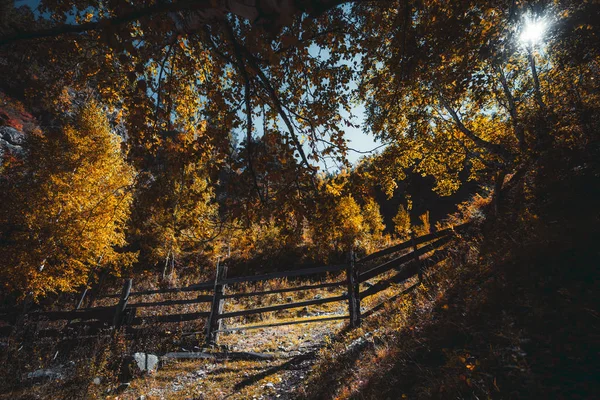 Paisagem de outono com uma cerca de madeira — Fotografia de Stock
