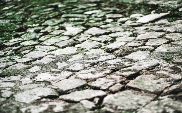 Piedra de pavimento en un terraplén — Foto de Stock