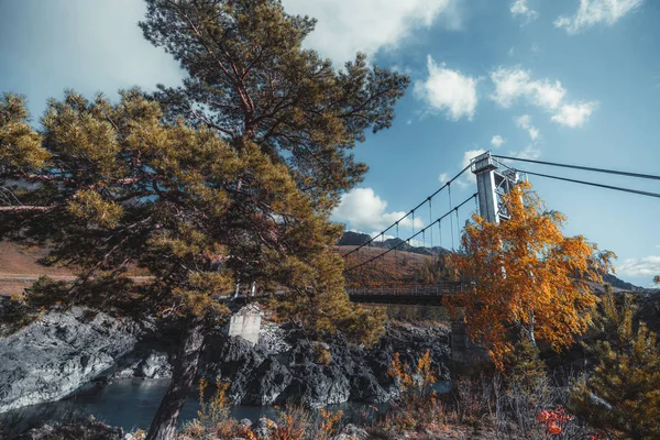 Podzimní scenérie se stromy a mostem — Stock fotografie