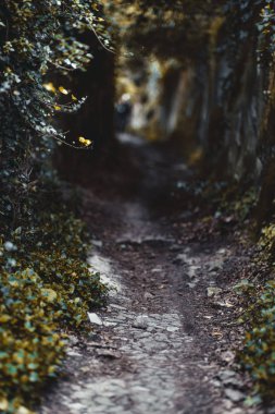 Açık havada koyu, dar bir geçit