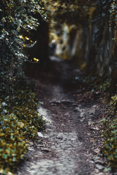 屋外の暗い狭い通路 — ストック写真