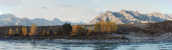 Панорама гор Алтая, река — стоковое фото