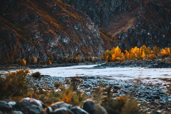 Осенний пейзаж в горах, река — стоковое фото