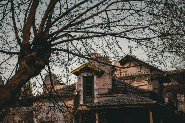 一座老房子和一棵树 — 图库照片