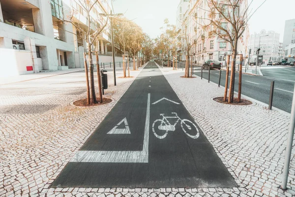 Breedhoekige Opname Van Asfalt Fietspad Een Hardloopbaan Stedelijke Omgevingen Omringd — Stockfoto