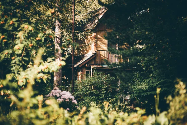 View of a beautiful old wooden summer house with a balcony in the countryside, in the shadow and half-hidden behind different trees and bushes of the wood; an antique dacha cottage on a warm sunny day