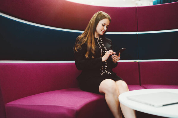 A stately mature woman entrepreneur beautiful long hair is making an appointment in a work chat on her smartphone while sitting on a lilac bent sofa indoors of a modern office coworking area