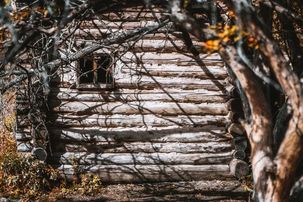 Scenă Rurală Adâncime Superficială Câmpului Focalizare Selectivă Fațadă Din Lemn — Fotografie, imagine de stoc