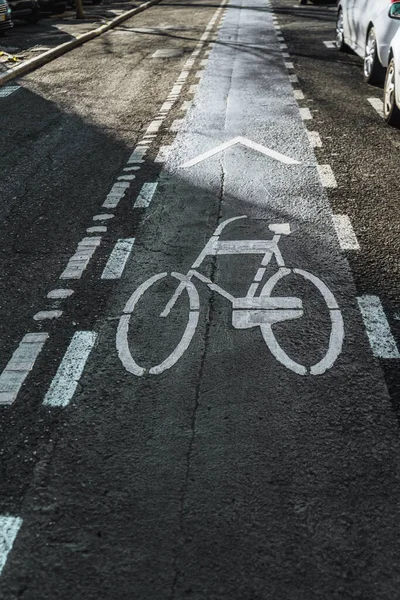 Een Verticale Opname Van Een Smal Fietspad Dat Zich Verte — Stockfoto