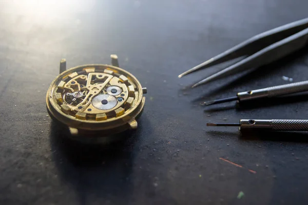 Процес Ремонту Механічних Годинників — стокове фото