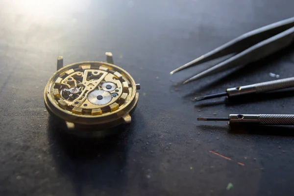 Process Repair Mechanical Watches — Φωτογραφία Αρχείου