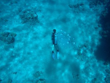 Suyun altındaki mercan resifleri, dalış, şnorkelle yüzme, aktif dinlenme