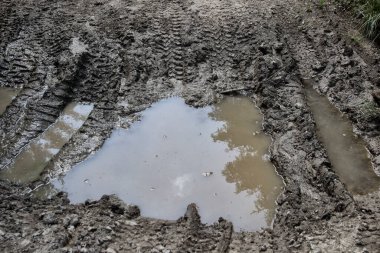 Korkunç bir orman yolu, off-road, su birikintisi, çamur