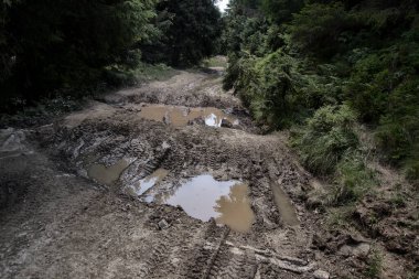 Korkunç bir orman yolu, off-road, su birikintisi, çamur